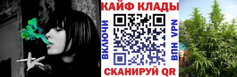 Купить Куртамыш Гашиш  Альфа ПВП  Галлюциногенные грибы  МЕФ  МДМА  COCAIN  Марихуана 