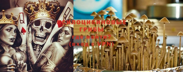 дмт Лагань