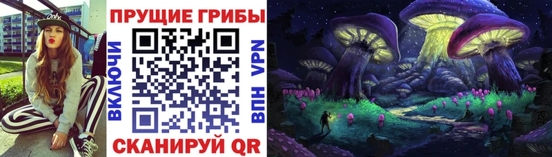 купить наркоту  Куртамыш  Галлюциногенные грибы MAGIC MUSHROOMS 